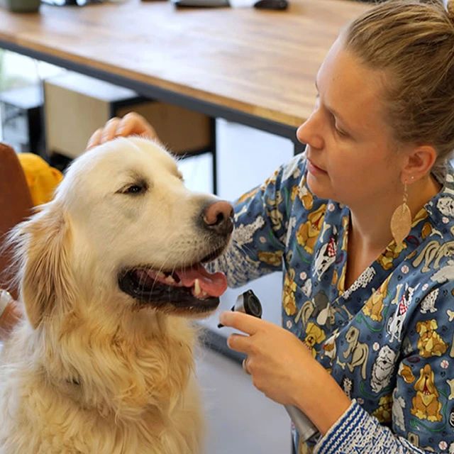 IMV-Technologies-Netherlands-France-Vet